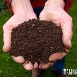 Aiming to live a more sustainable life? Composting not only keeps organic waste out of the landfill, it returns valuable organic fertilizer to the earth. See how to begin composting even if you live in the city.
