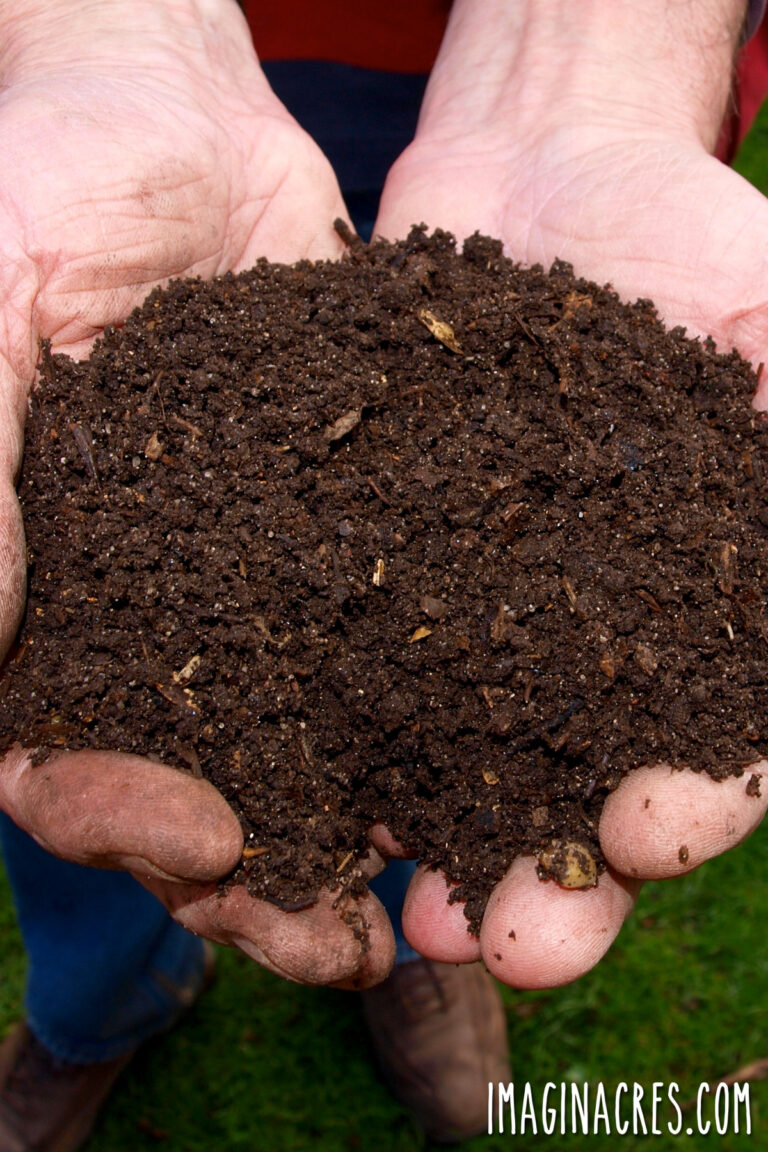 Two hands holding a batch of finished compost.