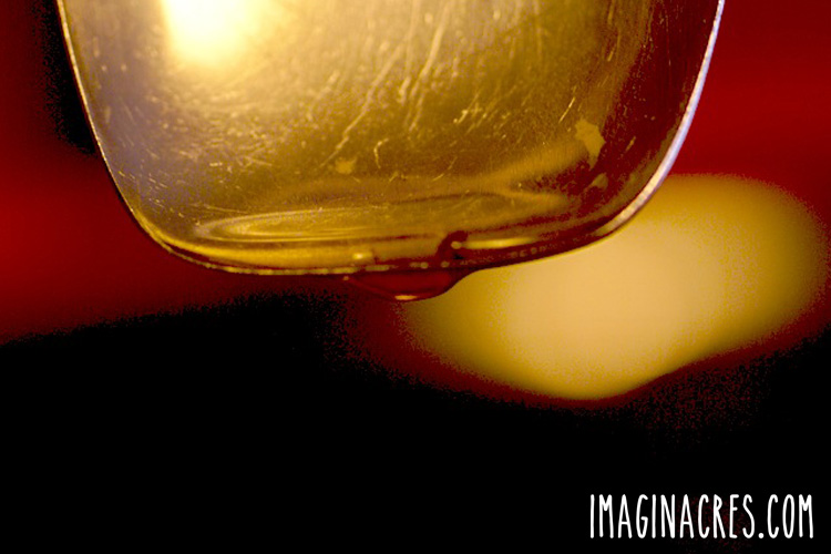 close up of spoon of maple syrup