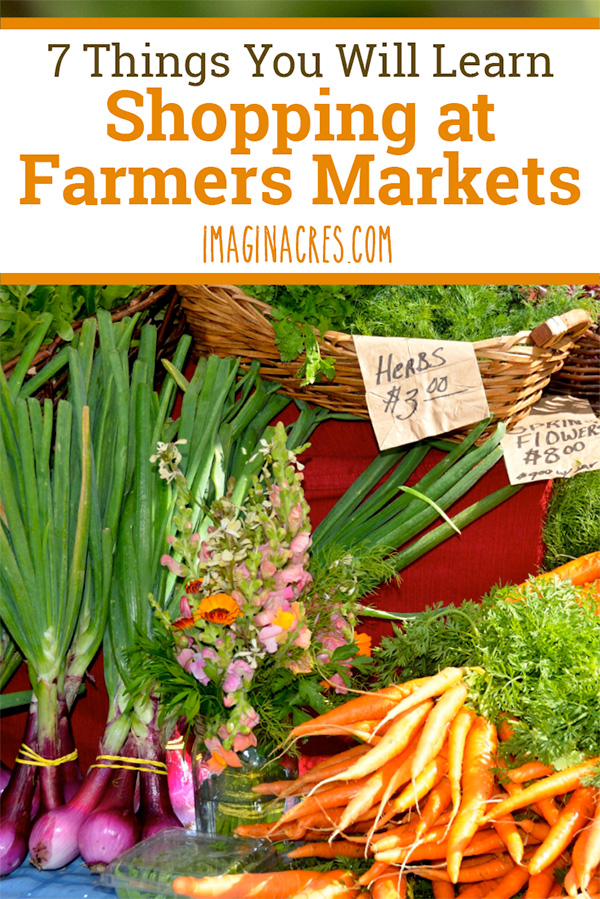 Shopping at the farmers market has a way of changing your mind about your food. Here are 7 things you will discover when you visit your local farmers market.