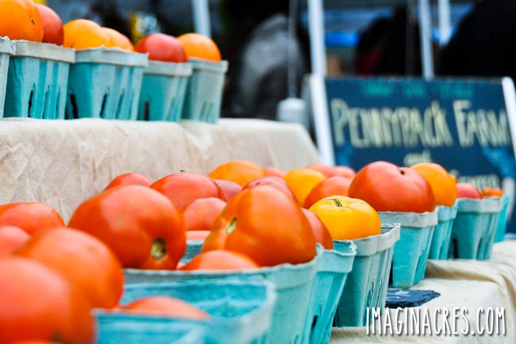 red tomatoes in teal containers on a table at a farmers market