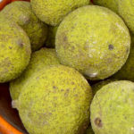 Do you have black walnut trees nearby? See how to take advantage of this foraged food by learning when to harvest and how to hull, cure, and store black walnuts.