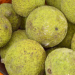 Close up of a bowl of freshly foraged black walnuts.