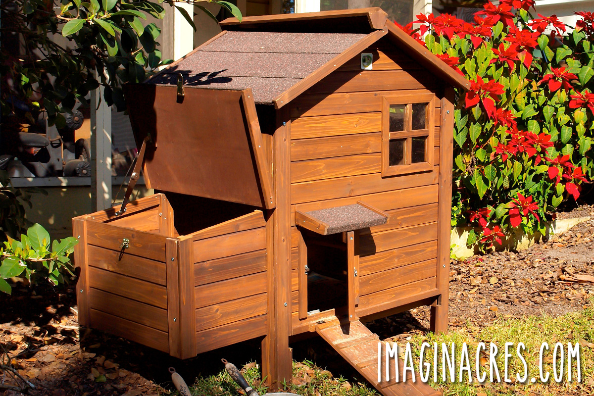 A small brown backyard chicken coop used as a brooding space for a hen and her chicks.