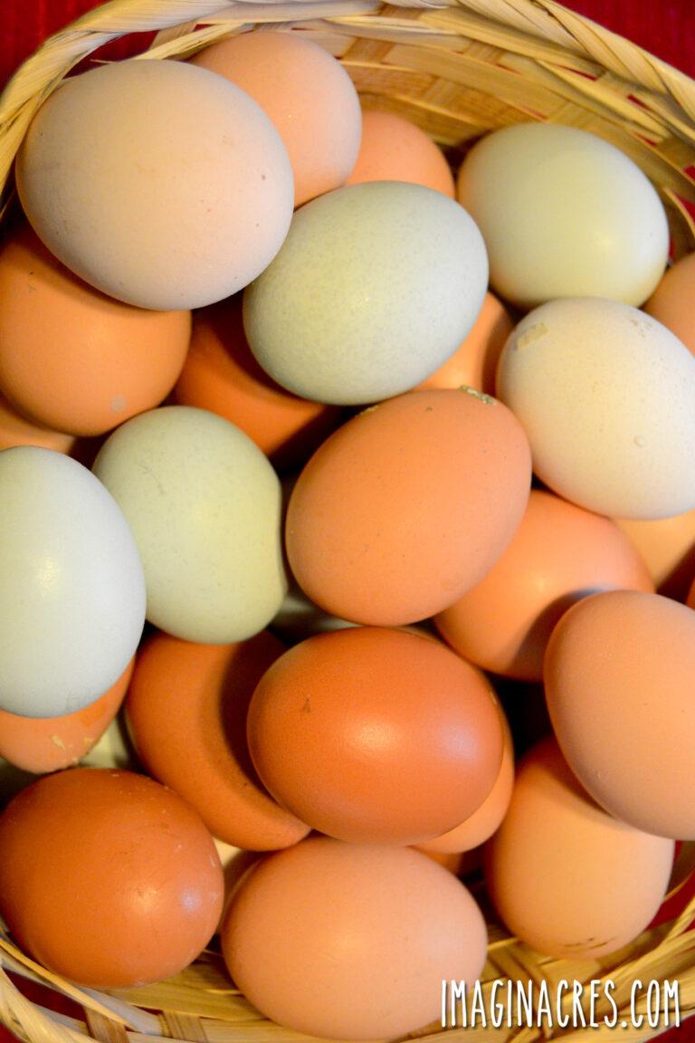 Close up overhead view of a lot of eggs in a basket.