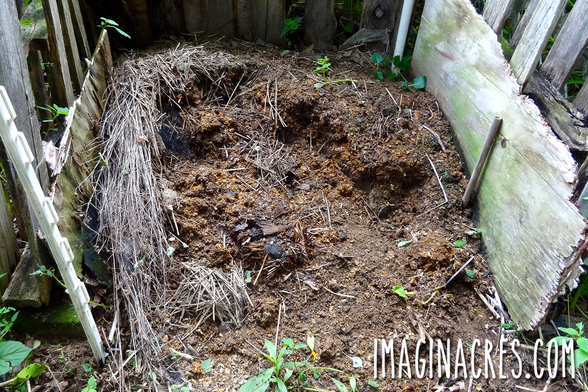 Compost bin after aging chicken manure for a year.
