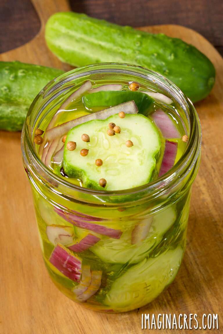 Close up of a jar of bread and butter pickles.