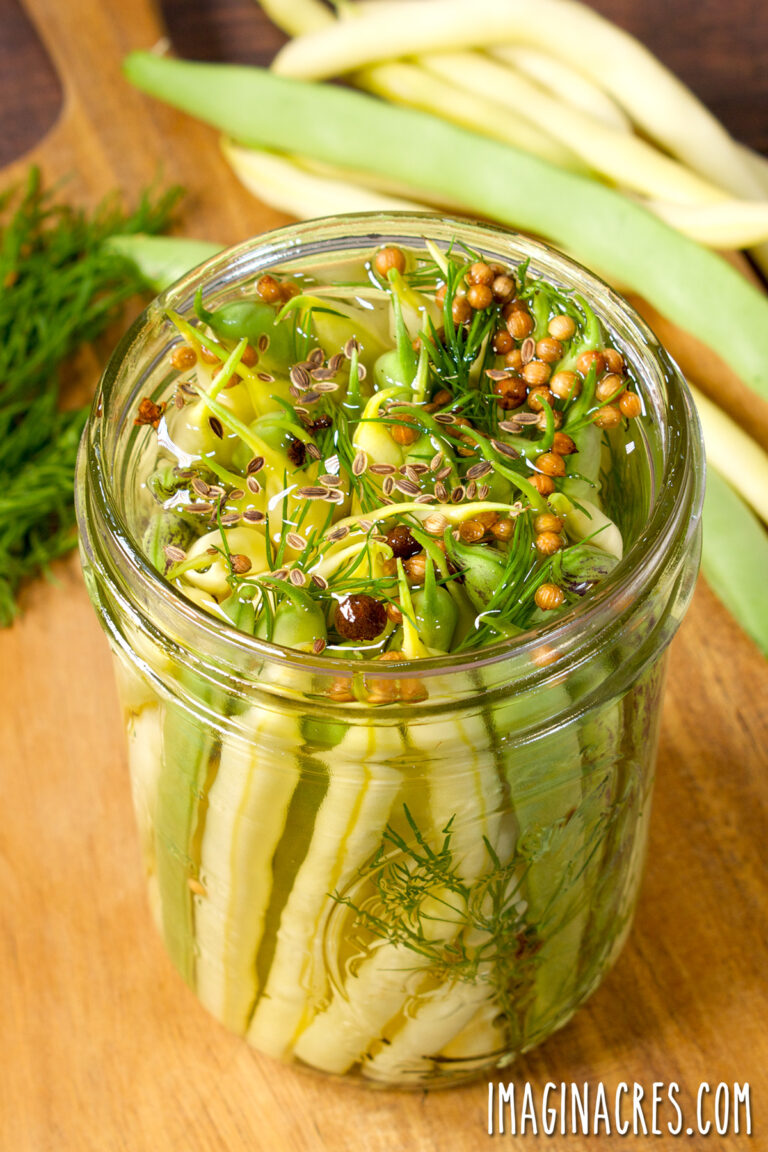 Overhead view of a jar of pickled dilly beans.