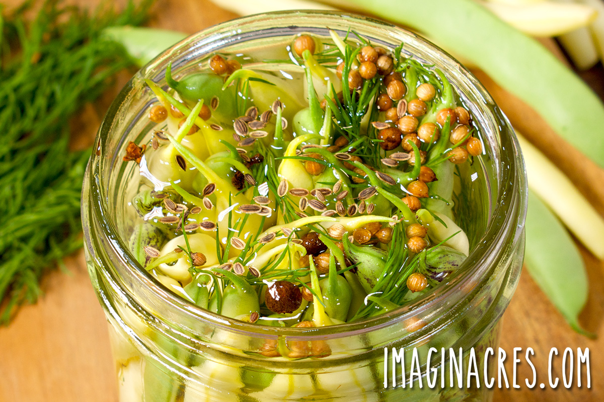 Refrigerator Dilly Beans (Quick Pickled Green Beans)