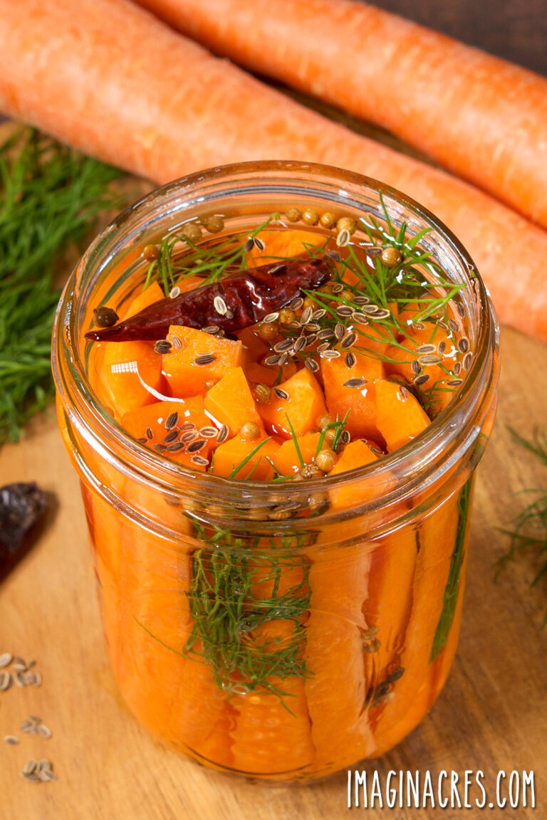 Close up of an open jar of pickled carrot sticks