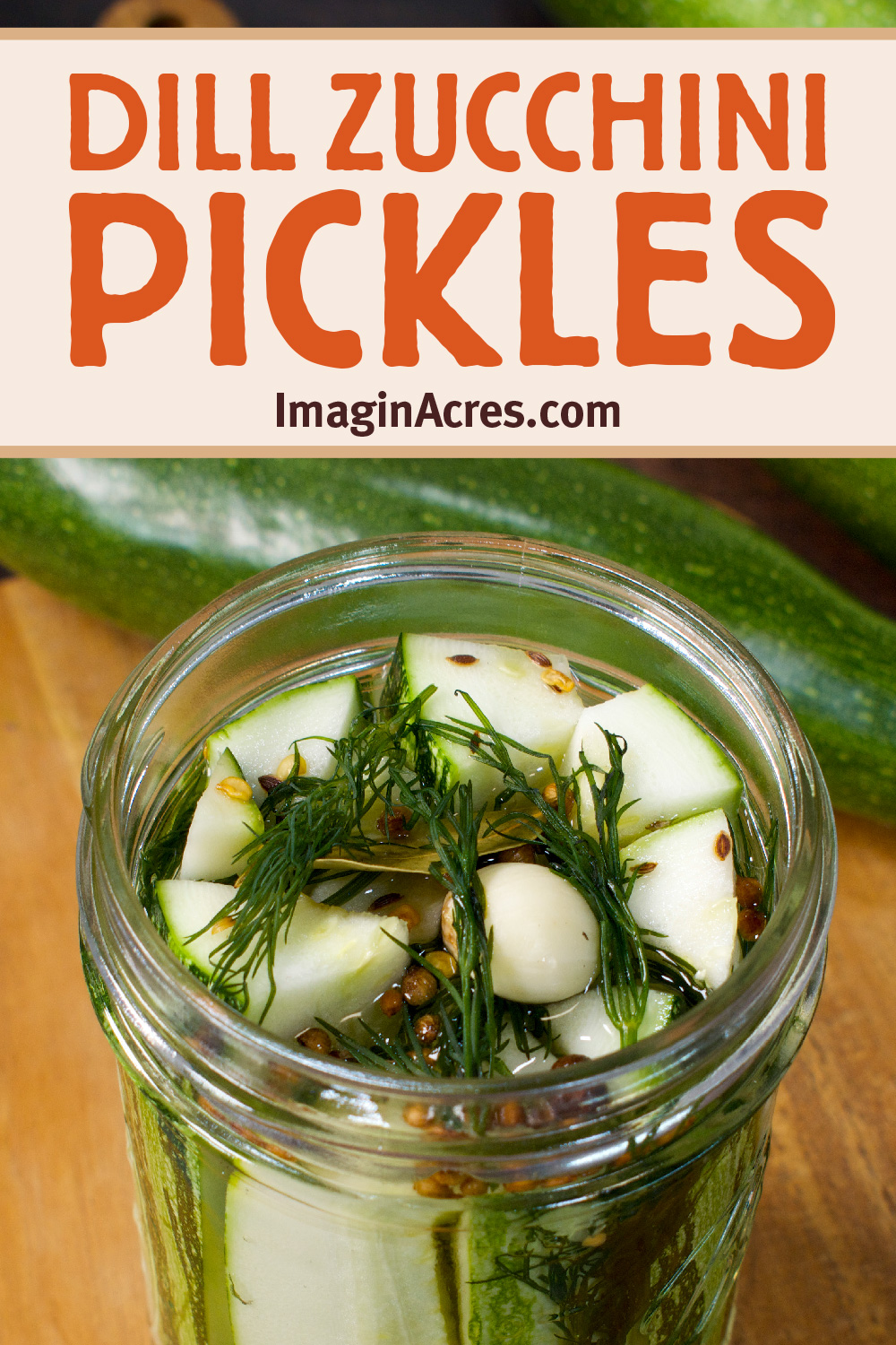 An open jar of zucchini pickle spears and spices with text overlay that reads dill zucchini pickles recipe.